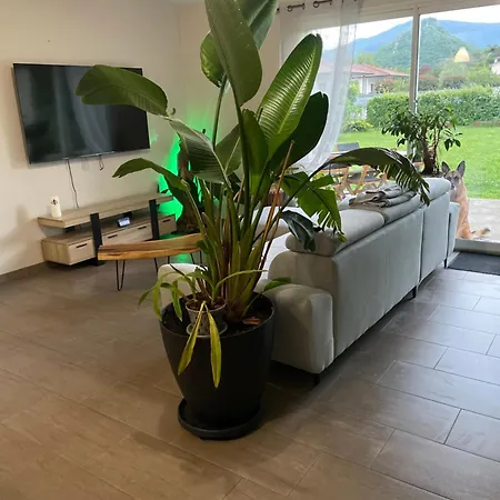 Homestay Ophidia