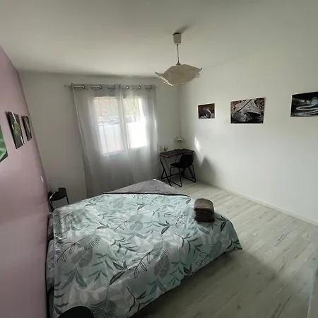 Ophidia Homestay *
