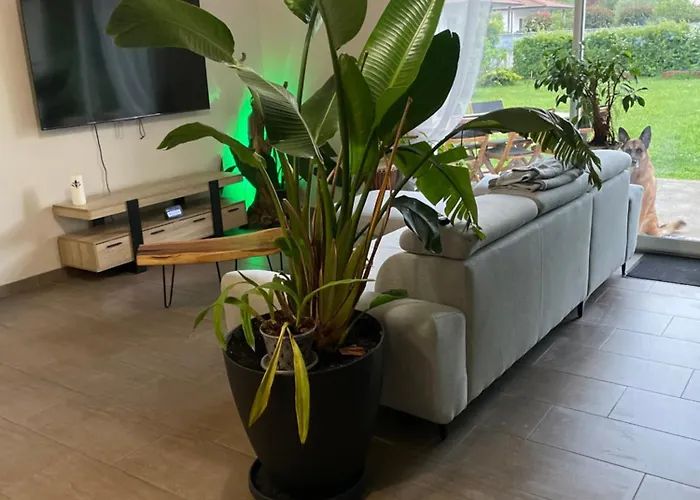 Séjour chez l'habitant Ophidia